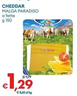 MD Discount Cheddar malga paradiso a fette offerta