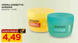 Alì Supermercati Crema sorbetto GARNIER offerta