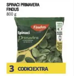 Iper Tosano Spinaci primavera FINDUS offerta