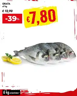 Bennet Orata al kg offerta