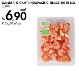 Bennet Gamberi giganti indopacifici black tiger bio offerta
