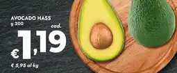 Bennet Avocado hass offerta