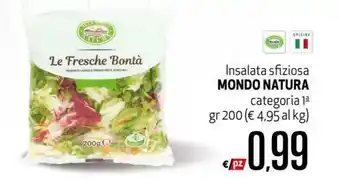 Maxi Supermercati Mondo Natura Insalata sfiziosa 200gr offerta