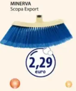 Acqua & Sapone MINERVA Scopa Export offerta