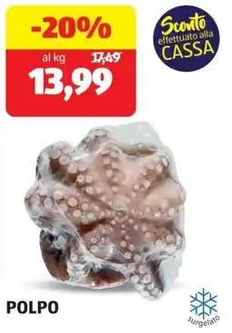 ALDI Polpo offerta