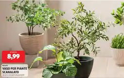 ALDI Belavi vaso per piante scanalato offerta