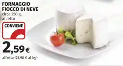 Coop Formaggio FIOCCO DI NEVE offerta