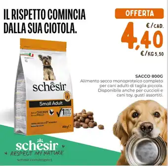 Schësir sacco