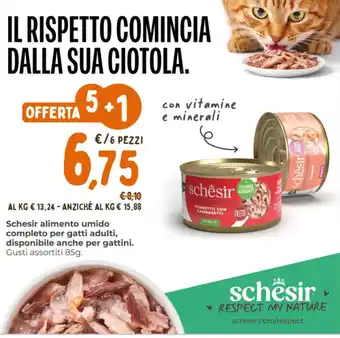 Schësir alimento umido completo per gatti adulti