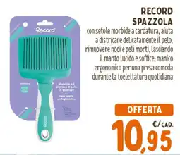 Spazio Conad Record spazzola offerta