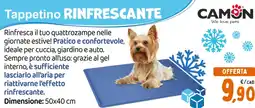 Spazio Conad Camon tappetino rinfrescante offerta