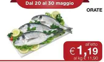 Coop ORATE offerta