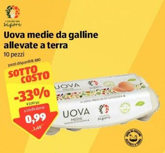 ALDI Uova medie da galline allevate a terra 10 pezzi offerta