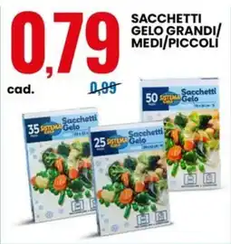 Eurospin Sacchetti gelo grandi/ medi/piccoli offerta