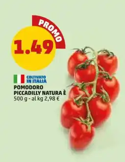 PENNY Pomodoro piccadilly NATURA È offerta