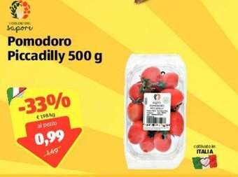 ALDI Pomodoro Piccadilly 500g offerta