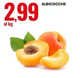 Eurospin Albicocche offerta