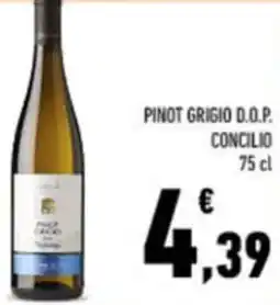 Conad Pinot grigio d.o.p. concilio offerta