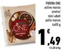 Conad Purina one offerta