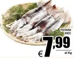 DEM Totani dec offerta