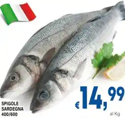 DEM Spigole sardegna 400/600 offerta