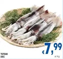 DEM Totani dec offerta