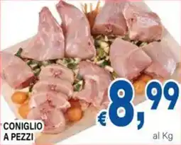 DEM Coniglio a pezzi offerta