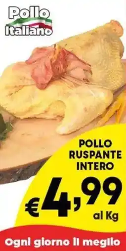 DEM Pollo ruspante intero offerta
