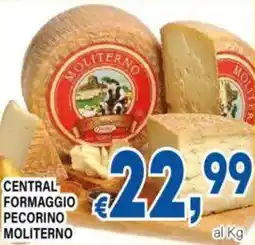 DEM Central formaggio pecorino moliterno offerta