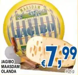 DEM Jagibo maasdam olanda offerta