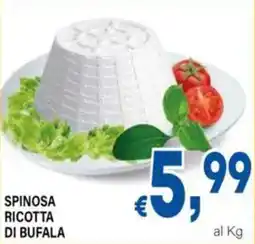 DEM Spinosa ricotta di bufala offerta