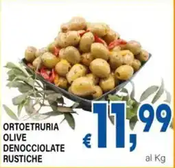 DEM Ortoetruria olive denocciolate rustiche offerta