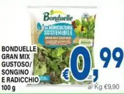 DEM Bonduelle gran mix gustoso/ songino e radicchio offerta