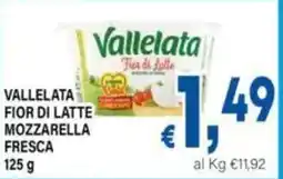 DEM Vallelata fior di latte mozzarella fresca offerta