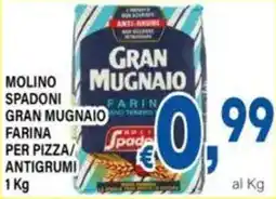 DEM Molino spadoni gran mugnaio farina per pizza/ antigrumi offerta