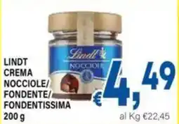 DEM Lindt crema nocciole fondente/ fondentissima offerta