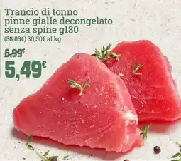Banco Fresco Trancio di tonno pinne gialle decongelato senza spine offerta