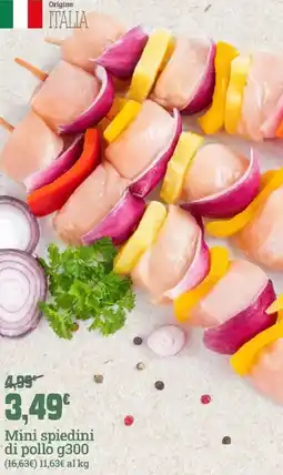 Banco Fresco Mini spiedini di pollo offerta