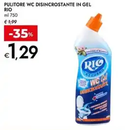 Bennet Pulitore wc disincrostante in gel RIO offerta