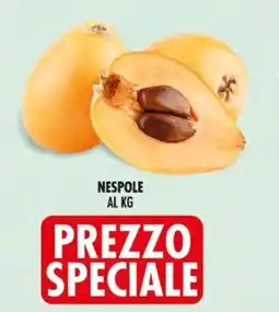 Deco Supermercati Nespole al kg offerta