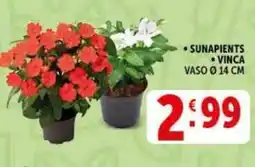 Deco Supermercati Sunapients vinca vaso ø14 cm offerta