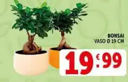 Deco Supermercati Bonsai vaso ø19 cm offerta