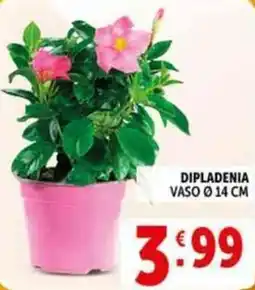 Deco Supermercati Dipladenia vaso ø14 cm offerta