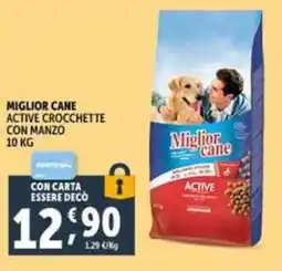 Deco Supermercati Miglior cane active crocchette icon manzo offerta