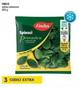 Deco Supermercati FINDUS spinaci primavera offerta