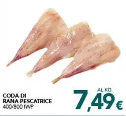 Altasfera Coda di rana pescatrice 400/800 iwp offerta