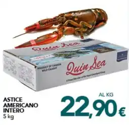 Altasfera Astice americano intero offerta
