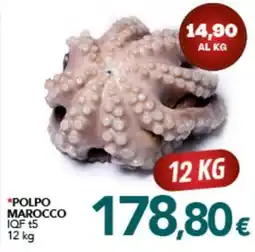 Altasfera Polpo marocco IQF t5 offerta