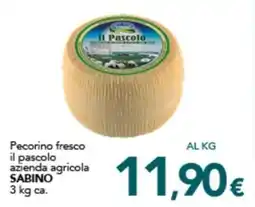 Altasfera Pecorino fresco il pascolo azienda agricola SABINO offerta