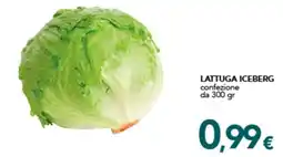 Altasfera Lattuga iceberg offerta
